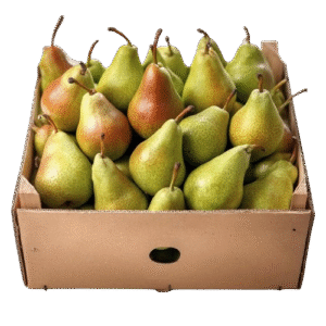 pera caja 100 ud Pera Caja de 100 unidades