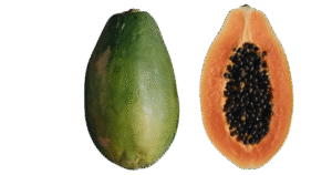papaya Papaya 1 Libra