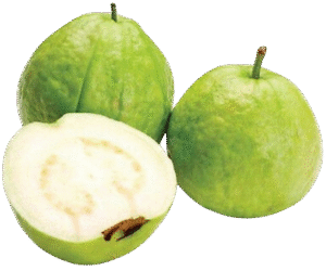 Guayaba Blanca Guayaba Blanca 1 Libra