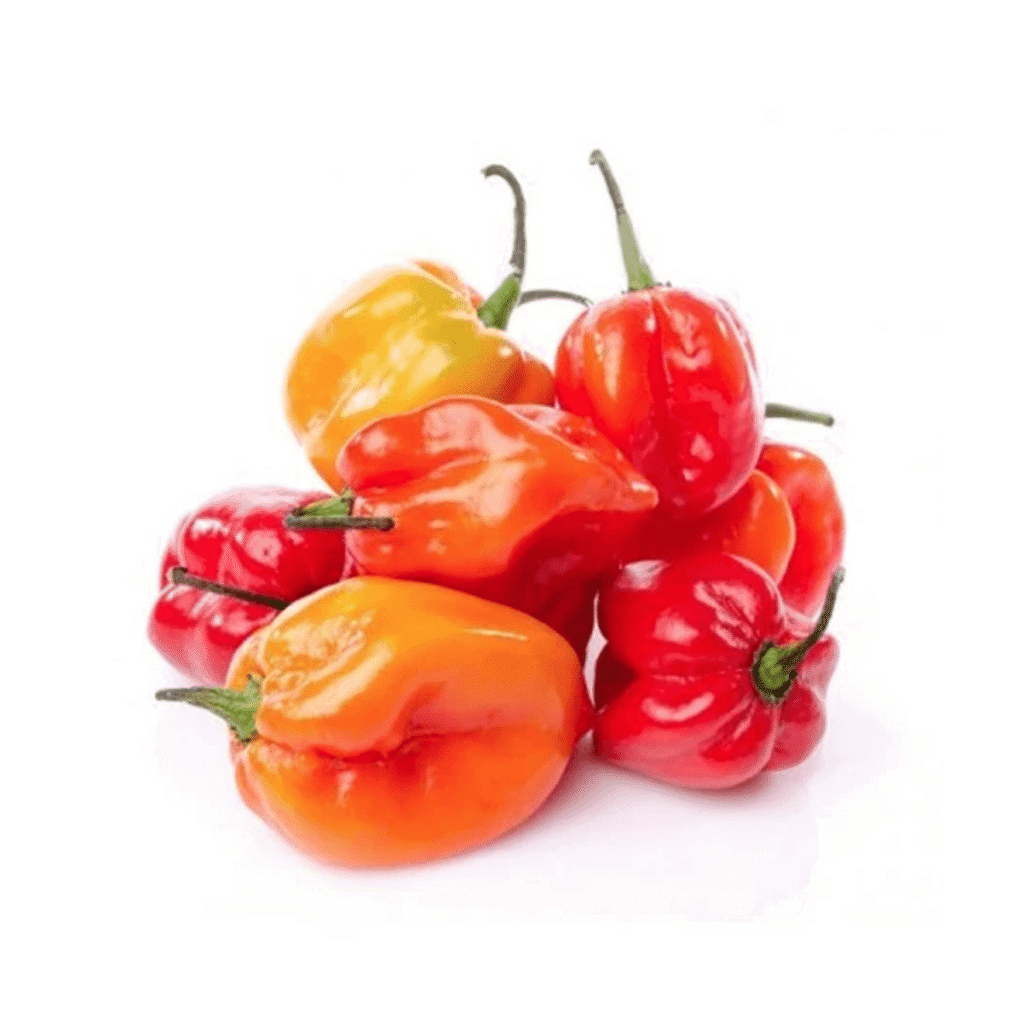 Aji Trompito 1 Libra