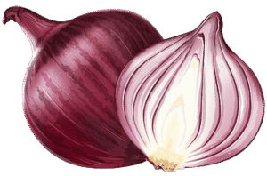 cebolla morada Cebolla Morada 1 Libra