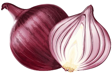 cebolla morada Cebolla Morada 1 Libra