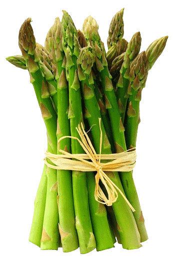 esparragos Esparragos 1 Mazo