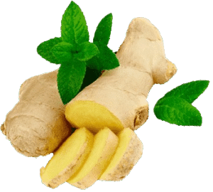 jengibre Jengibre 1 Libra