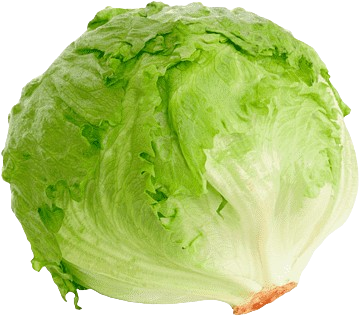 lechuga nacional Lechuga nacional 1 Libra