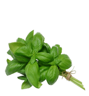 albahaca-removebg-preview Albahaca 1 Mazo