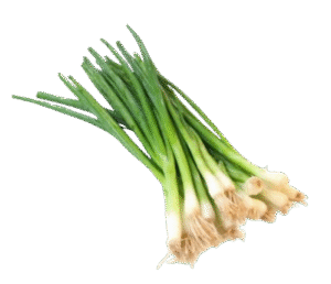 cebollina Cebollina 1 mazo