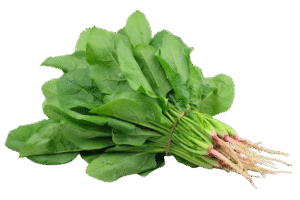 espinaca Espinaca 1 mazo