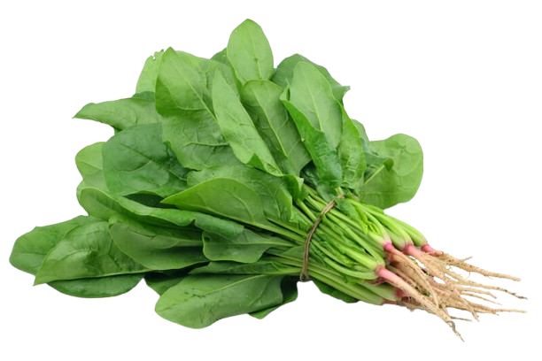 espinaca Espinaca 1 mazo